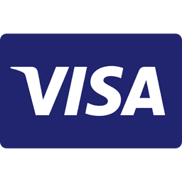 Visa payment icon